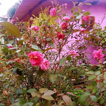 Villa Agape - Chapada Dos Veadeiros Alto Paraíso de Goiás Exteriör bild