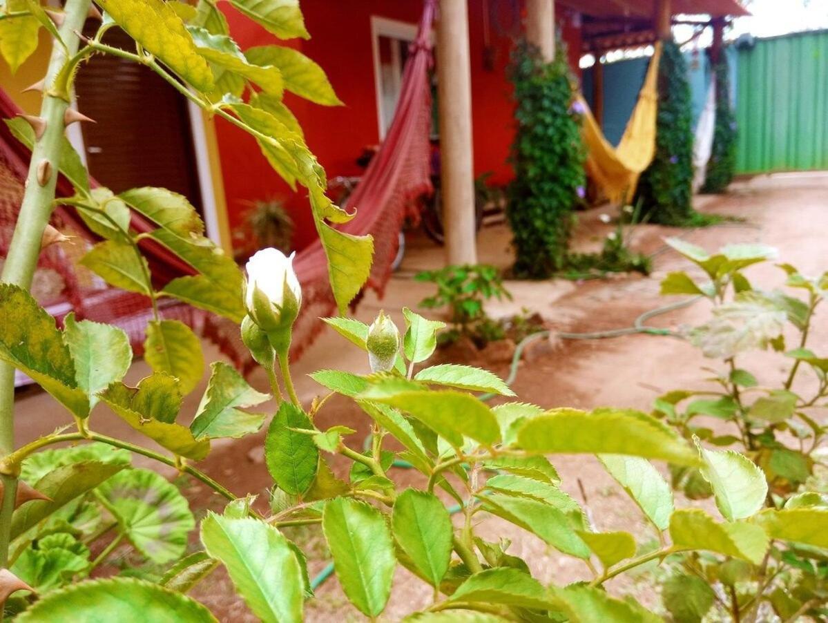Villa Agape - Chapada Dos Veadeiros Alto Paraíso de Goiás Exteriör bild