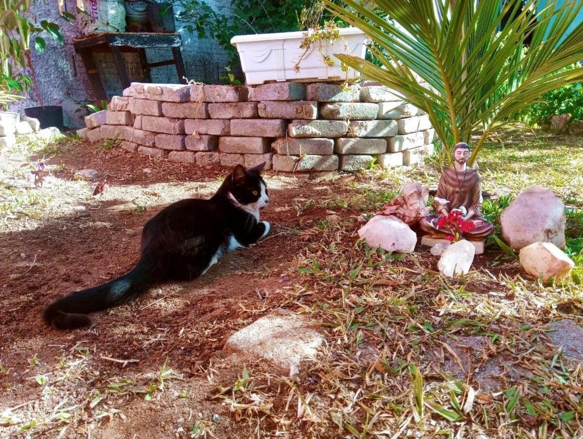 Villa Agape - Chapada Dos Veadeiros Alto Paraíso de Goiás Exteriör bild