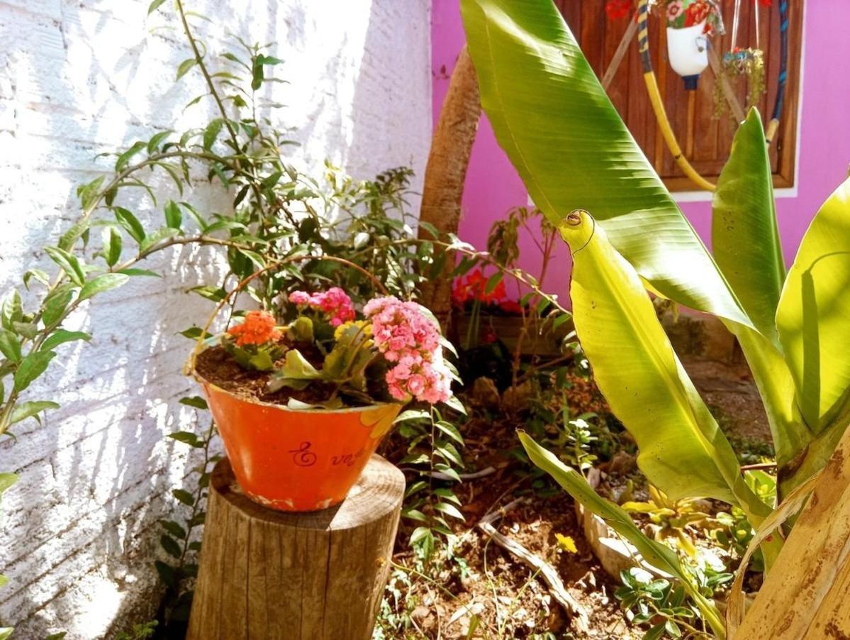 Villa Agape - Chapada Dos Veadeiros Alto Paraíso de Goiás Exteriör bild