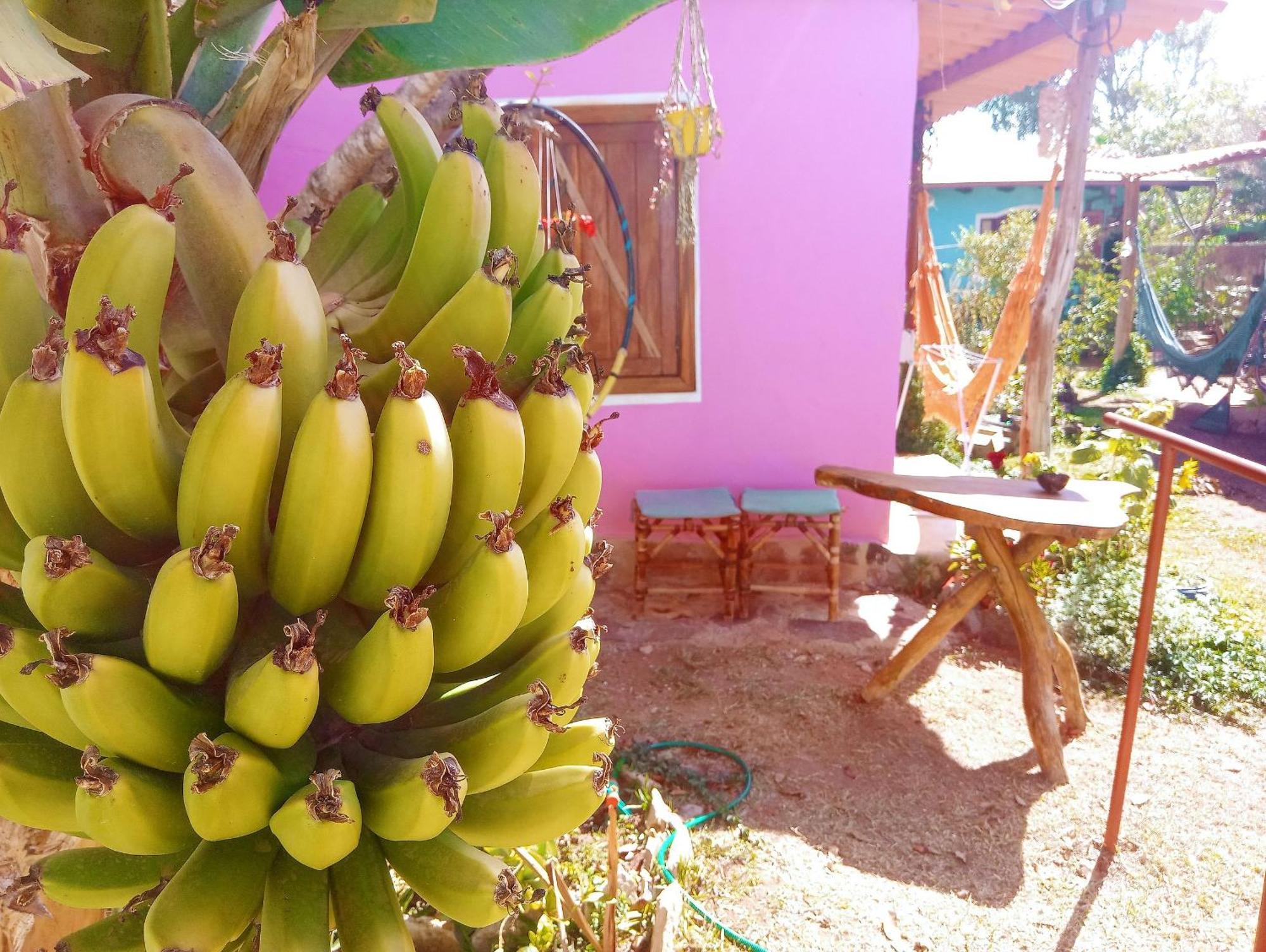 Villa Agape - Chapada Dos Veadeiros Alto Paraíso de Goiás Exteriör bild